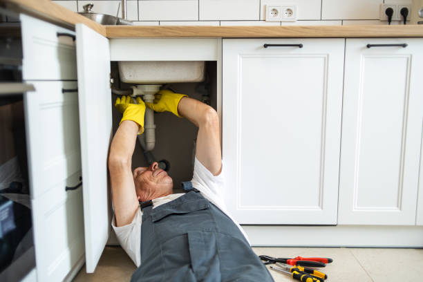Best Leak Detection Services  in Holland, OH