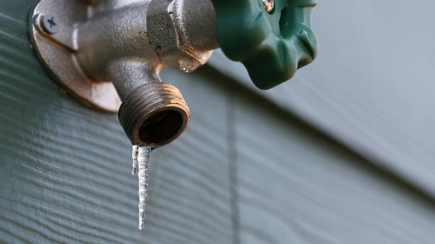 Best Local Plumber Services  in Holland, OH